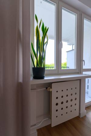 profesjonalne zdjęcia nieruchomości