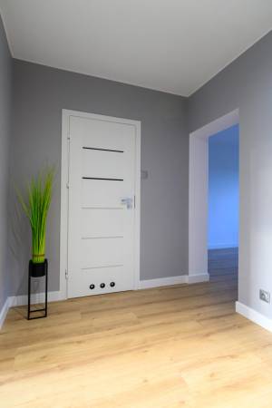 profesjonalne zdjęcia nieruchomości